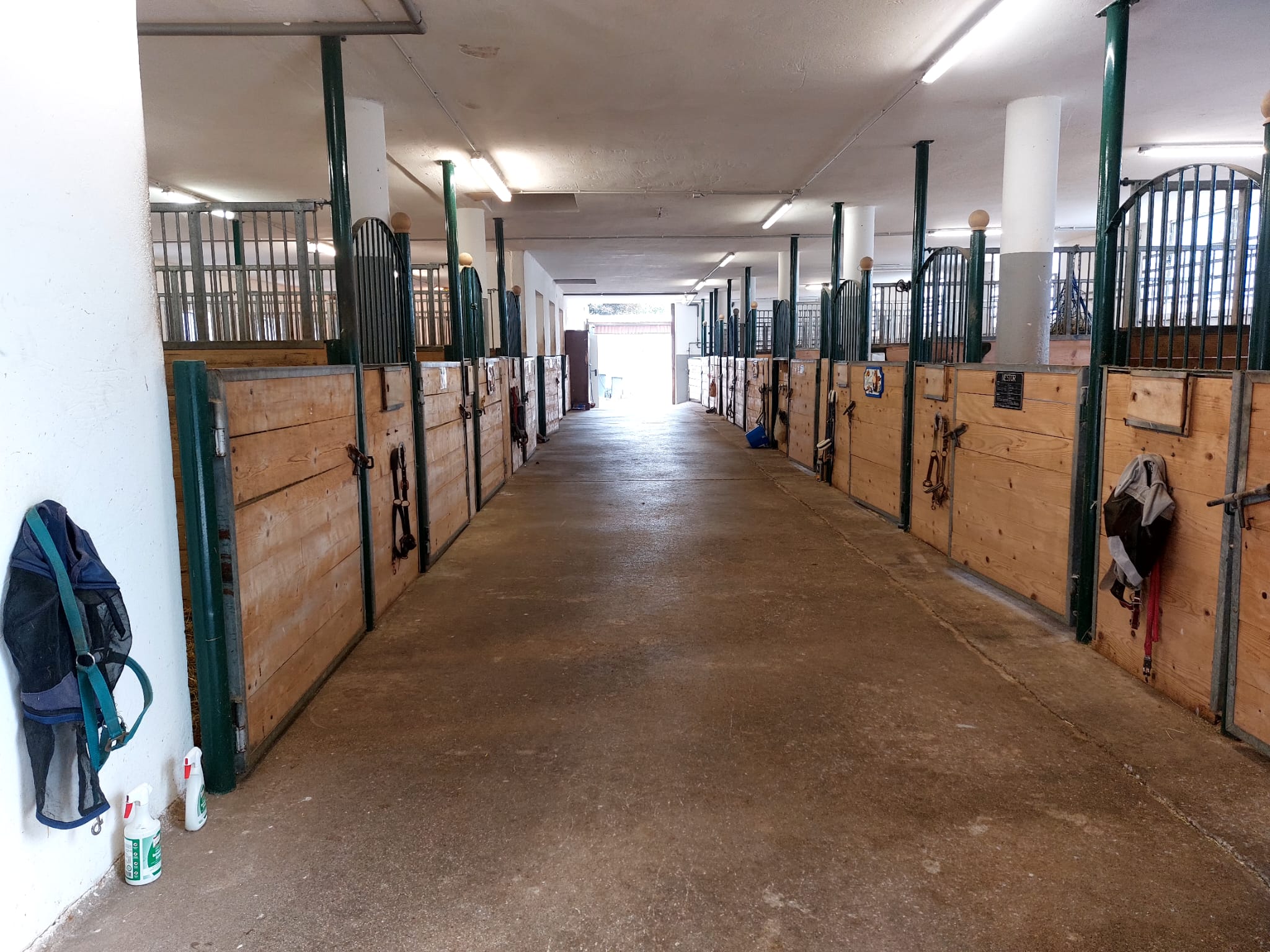 Unsere Pferdepension - Helle Einstellboxen wahlweise mit Stroh oder Späne